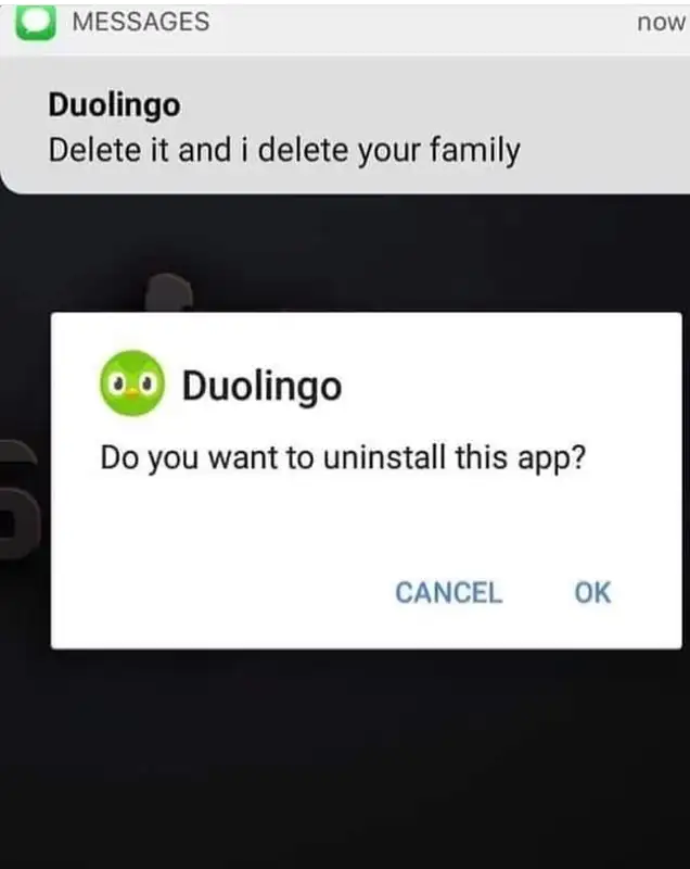 Meme Duolingo dọa dẫm hài hước