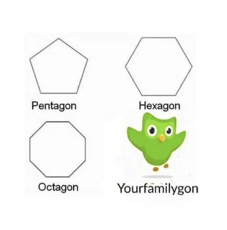 Duolingo meme khiến người xem bật cười