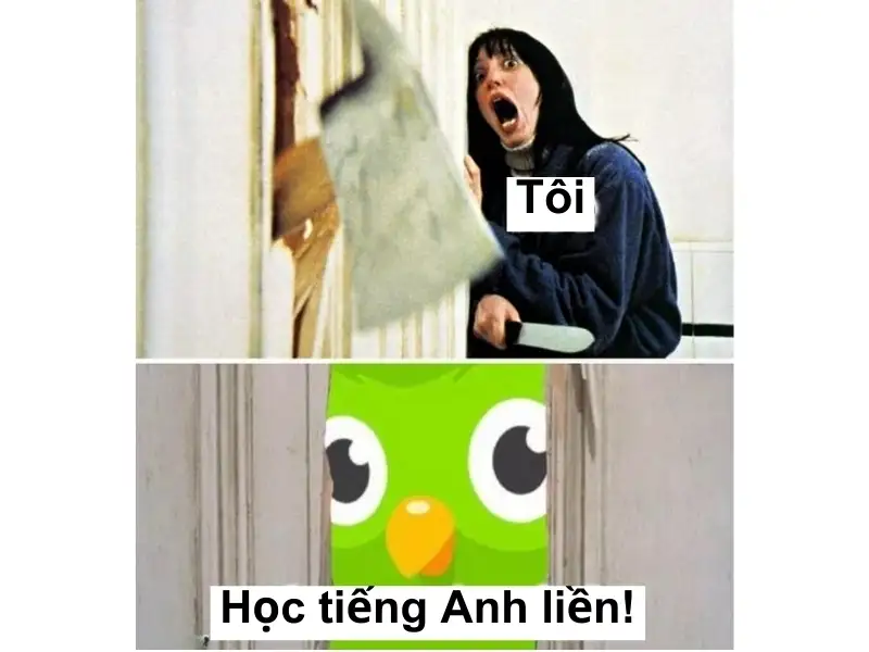 Duolingo meme khích lệ người học không bỏ cuộc