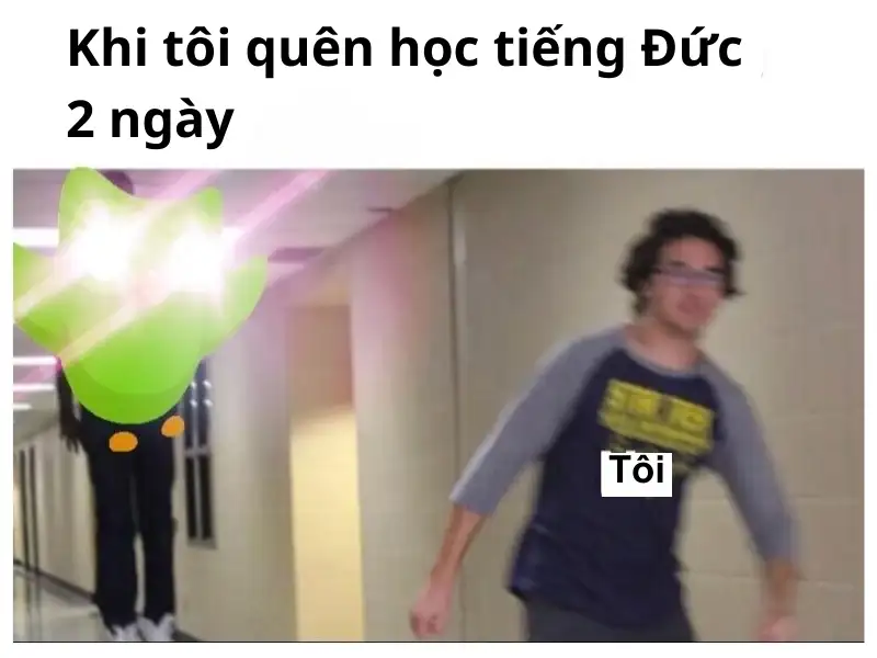 Duolingo meme tạo động lực học đều đặn