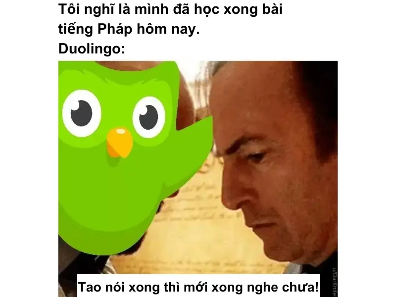 Meme Duolingo với gương mặt ngộ nghĩnh