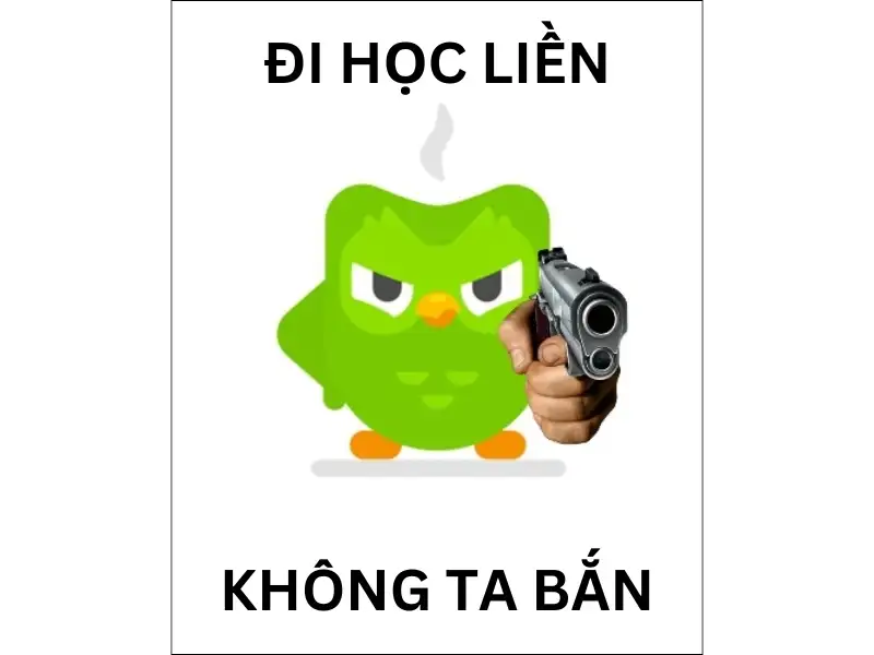 Duolingo meme bắt học bài hài hước