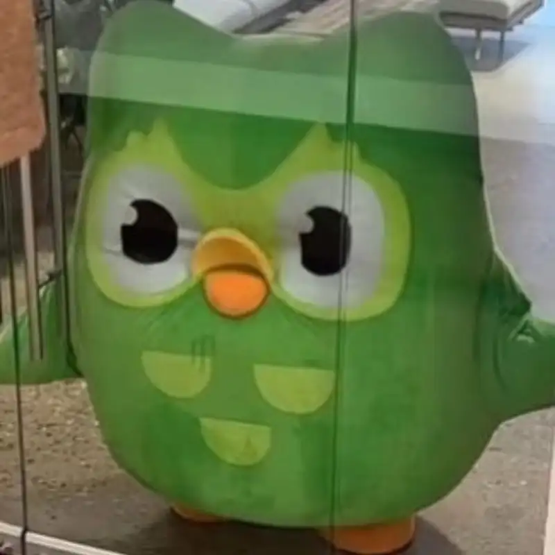 Duolingo meme làm người xem bật cười