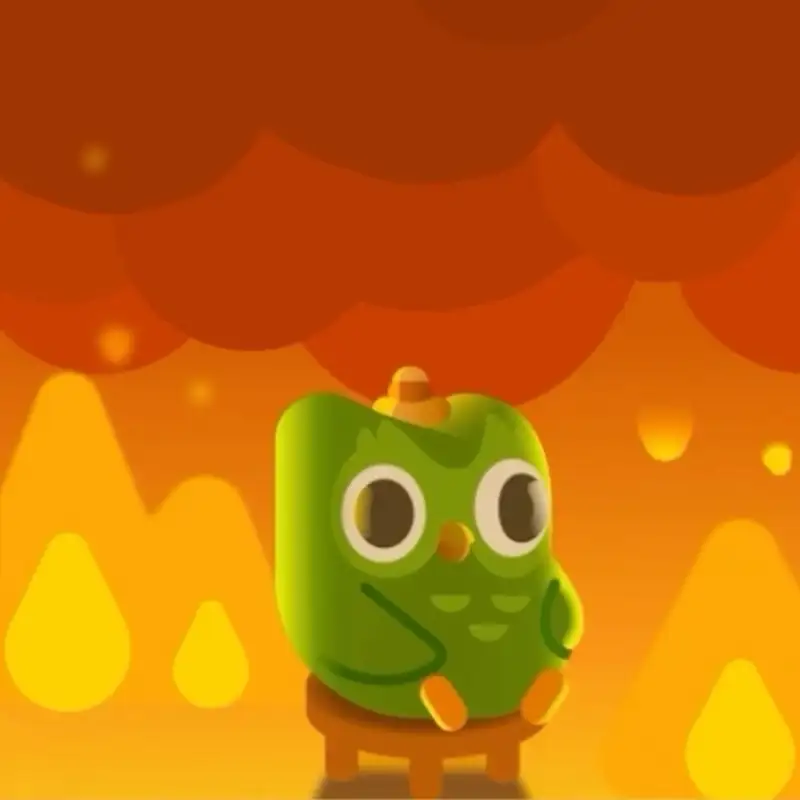Duolingo meme ngồi trong lửa hài hước
