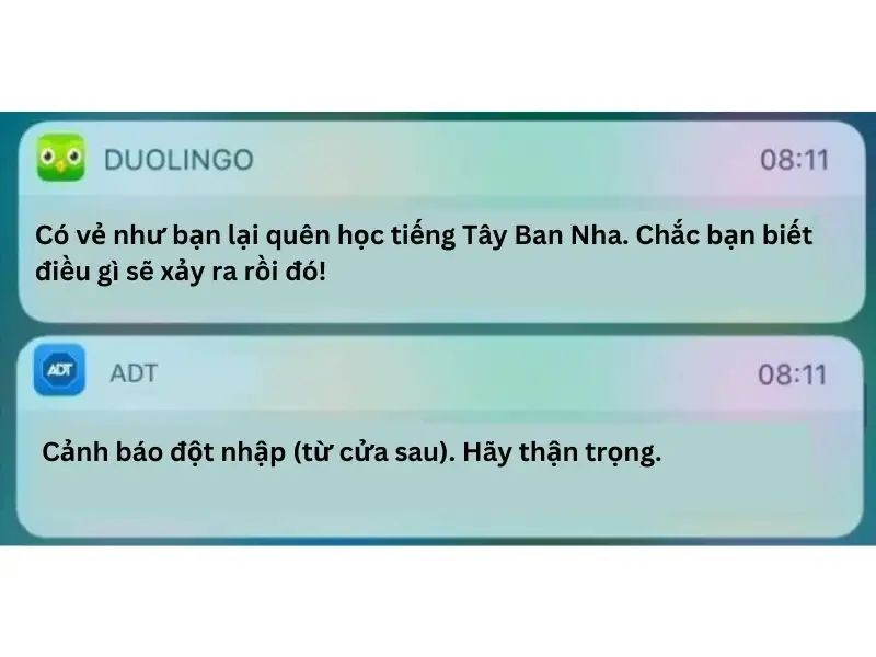 Duolingo meme thông báo hài hước