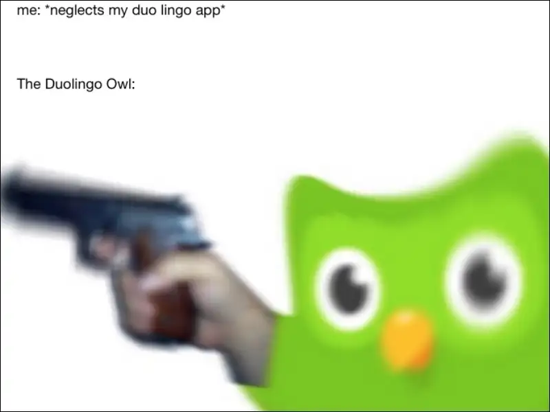 Duolingo meme cầm súng dọa