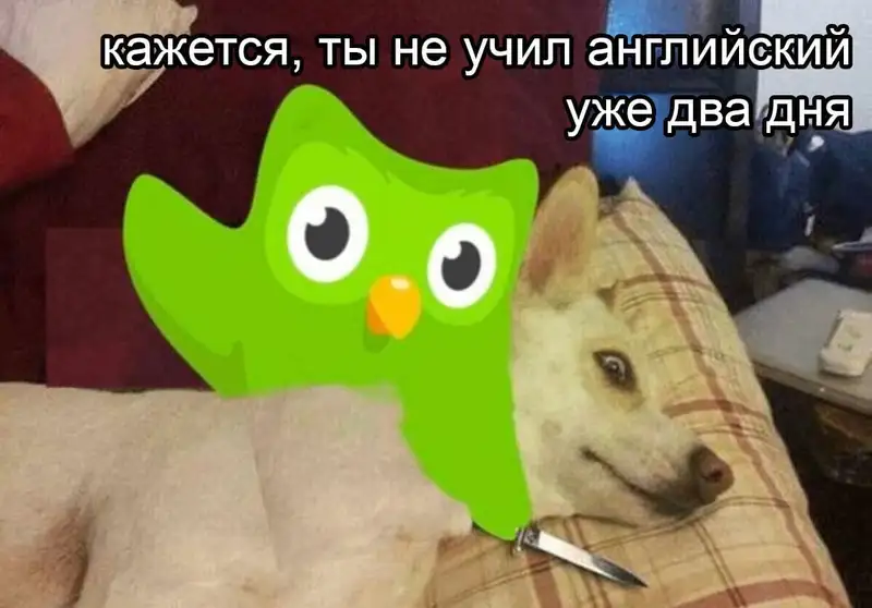 Meme Duolingo với câu nói dí dỏm