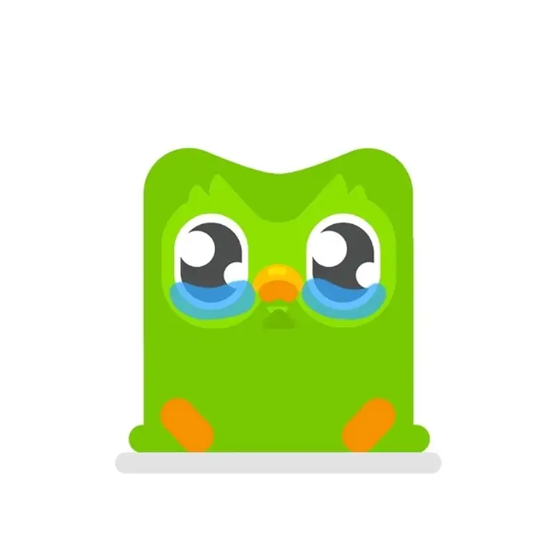 Duolingo meme với đôi mắt ngấn lệ