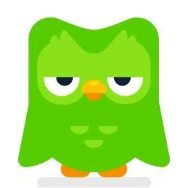 Duolingo meme với đôi mắt lờ đờ uể oải