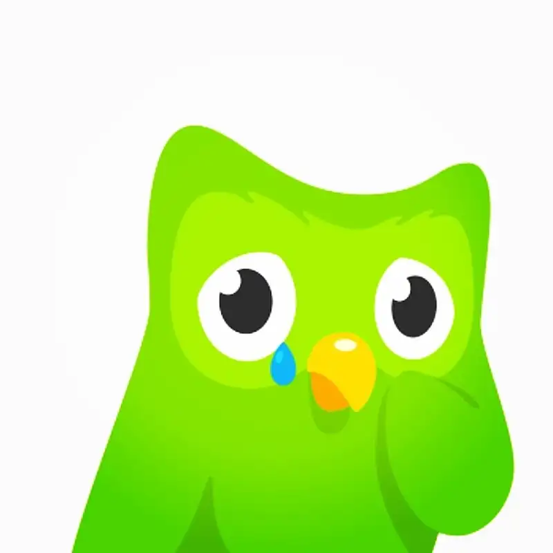 Duolingo meme mang lại tiếng cười thú vị