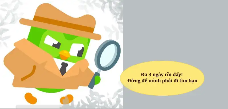 Duolingo meme tìm kiếm hài hước
