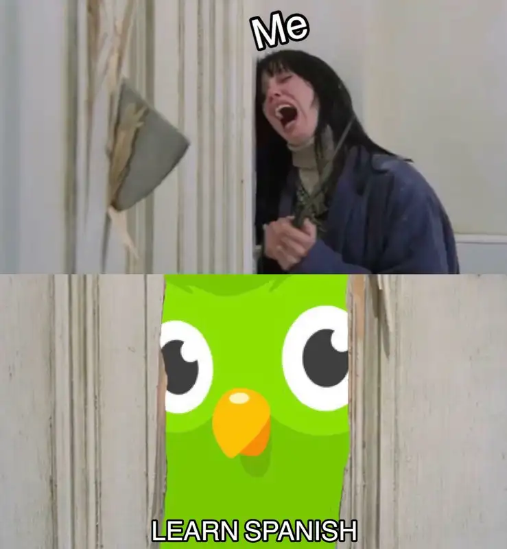 Duolingo meme bắt người học hài hước