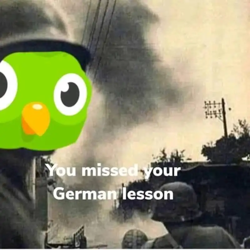 Duolingo meme truyền cảm hứng học ngoại ngữ