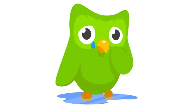 Duolingo meme khóc
