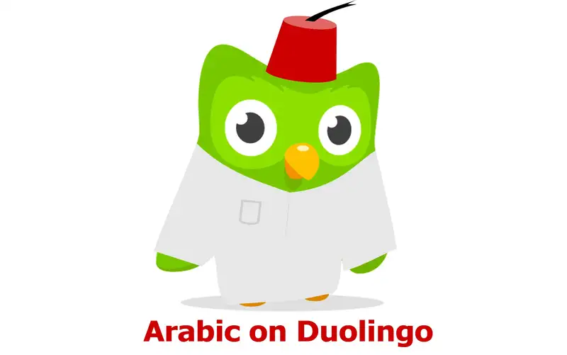 Duolingo meme bác sĩ hài hước