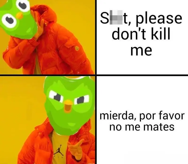 Duolingo meme độc đáo và thú vị