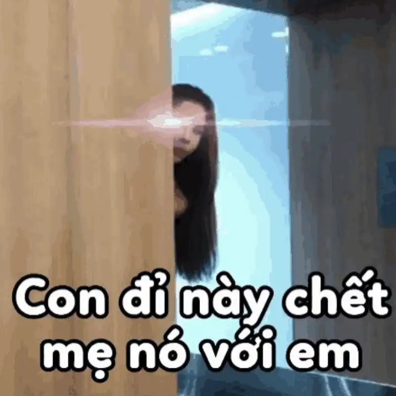 Meme Linda hài hước độc lạ