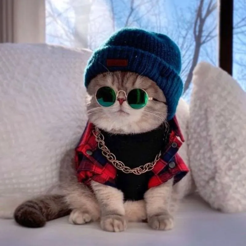 Một chút ngọt ngào với mèo avatar dễ thương Một chút ngọt ngào với mèo avatar dễ thương