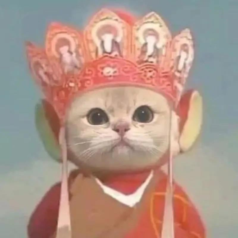 Tinh tế và cuốn hút với mèo avatar dễ thương Tinh tế và cuốn hút với mèo avatar dễ thương