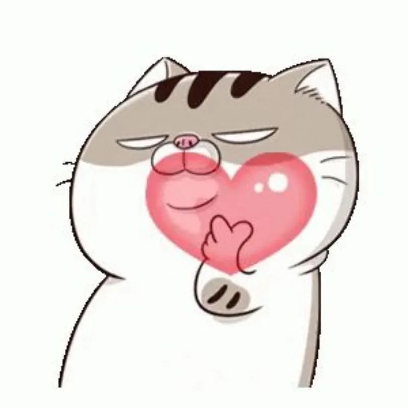 Thể hiện tình yêu thú cưng qua hình ảnh mèo avatar Thể hiện tình yêu thú cưng qua hình ảnh mèo avatar