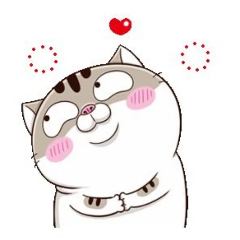 Tỏa sáng phong cách qua mèo avatar dễ thương Tỏa sáng phong cách qua mèo avatar dễ thương