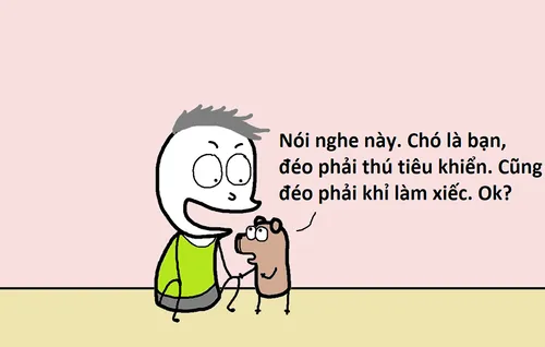 Meme từ chối hài hước bất ngờ