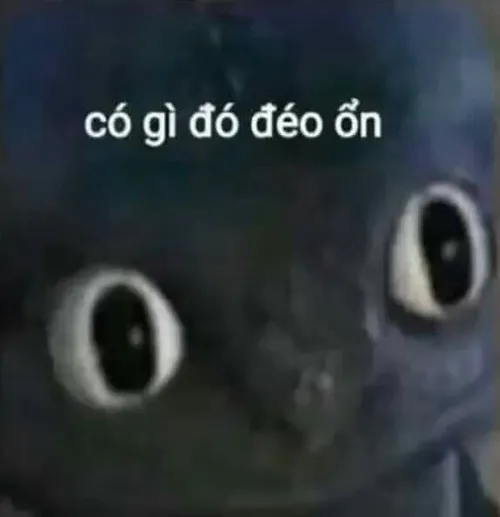 Meme từ chối làm người xem cười lớn