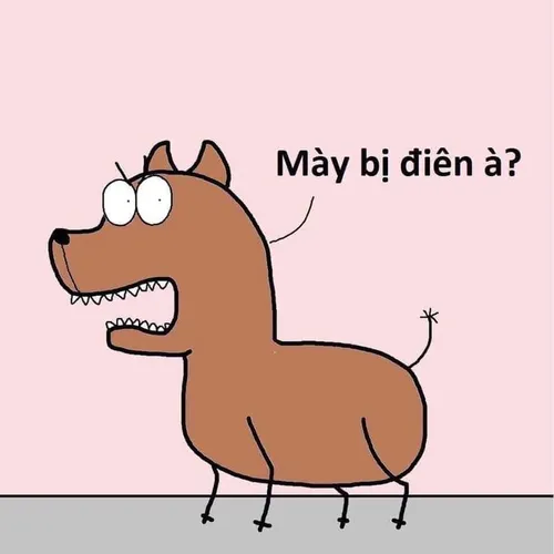 Meme từ chối lan truyền cảm xúc tích cực
