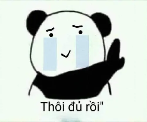 Meme từ chối dễ thương và vui nhộn