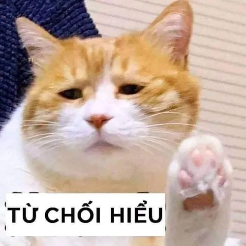 Meme từ chối lan truyền nhanh trong cộng đồng