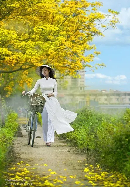 Chiêm ngưỡng hình ảnh gái quê xinh đẹp dịu dàng Chiêm ngưỡng hình ảnh gái quê xinh đẹp dịu dàng