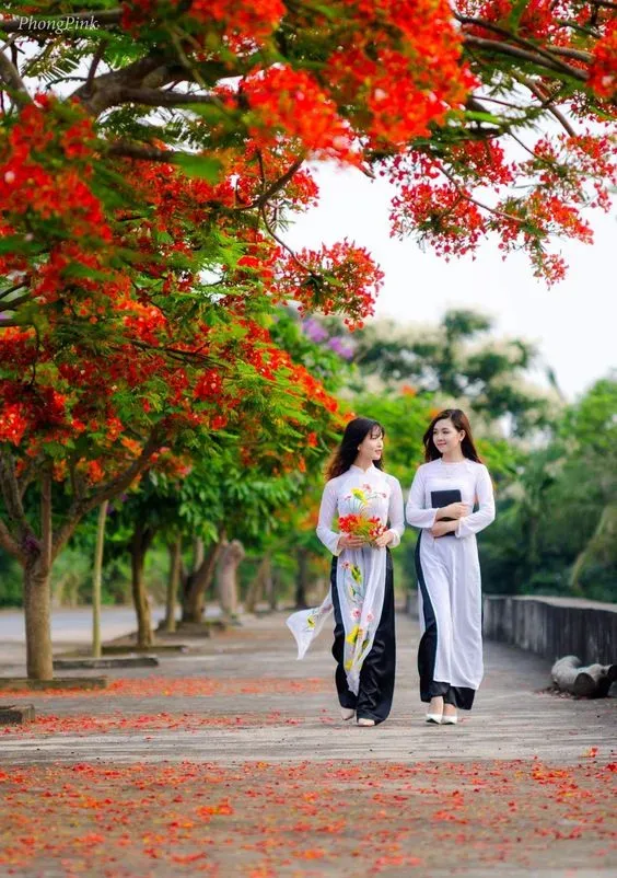 Tải hình ảnh gái quê xinh đẹp, bình dị và gần gũi Tải hình ảnh gái quê xinh đẹp, bình dị và gần gũi