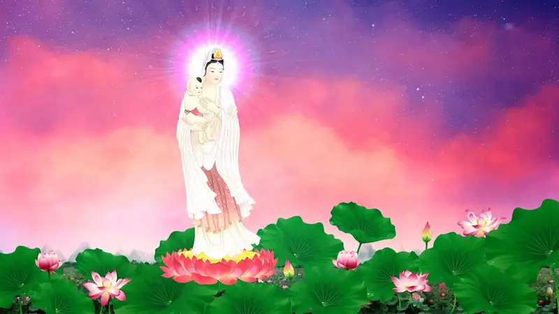 Hình nền Phật cho điện thoại, tạo không gian thiền yên bình
