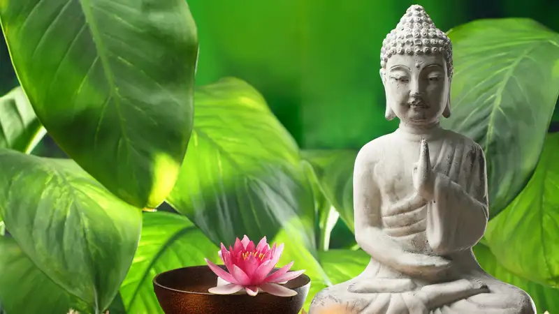 Tạo môi trường làm việc thư thái với hình nền Phật thanh tịnh
