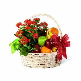 Giỏ hoa quả tặng sinh nhật đẹp mang lại cảm giác thư thái Giỏ hoa quả tặng sinh nhật đẹp mang lại cảm giác thư thái