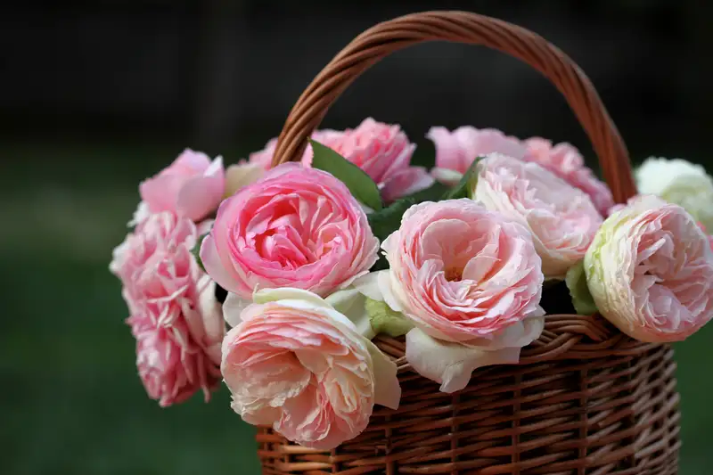 Gửi tặng người yêu ảnh hoa hồng đẹp và ý nghĩa Gửi tặng người yêu ảnh hoa hồng đẹp và ý nghĩa