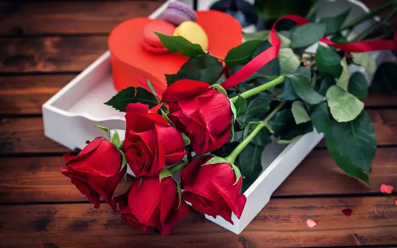 Hoa hồng đỏ - lựa chọn hoàn hảo để tặng người yêu Hoa hồng đỏ - lựa chọn hoàn hảo để tặng người yêu