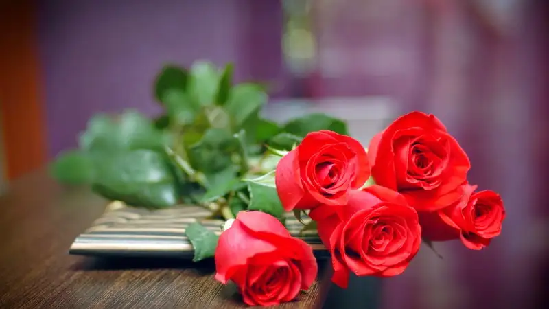 Hình ảnh hoa hồng tặng người yêu đẹp, mang thông điệp yêu thương Hình ảnh hoa hồng tặng người yêu đẹp, mang thông điệp yêu thương