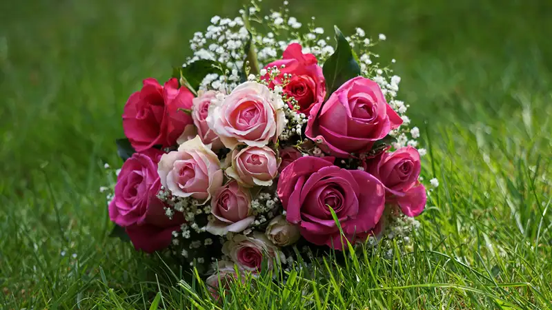 Ảnh hoa hồng đẹp rực rỡ, biểu tượng tình yêu cho người yêu Ảnh hoa hồng đẹp rực rỡ, biểu tượng tình yêu cho người yêu