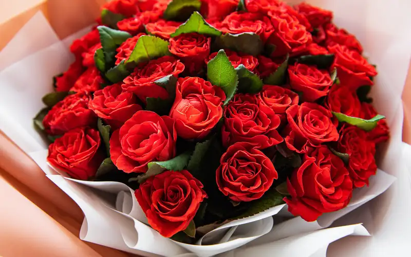 Ảnh hoa hồng đẹp, thể hiện tình yêu mãnh liệt dành cho người yêu Ảnh hoa hồng đẹp, thể hiện tình yêu mãnh liệt dành cho người yêu