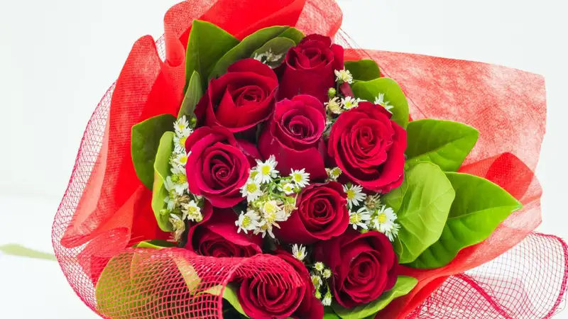 Ảnh hoa hồng ý nghĩa gửi gắm tình cảm trọn vẹn đến người yêu Ảnh hoa hồng ý nghĩa gửi gắm tình cảm trọn vẹn đến người yêu