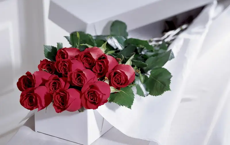 Hình ảnh hoa hồng tặng người yêu ý nghĩa cho ngày đặc biệt Hình ảnh hoa hồng tặng người yêu ý nghĩa cho ngày đặc biệt