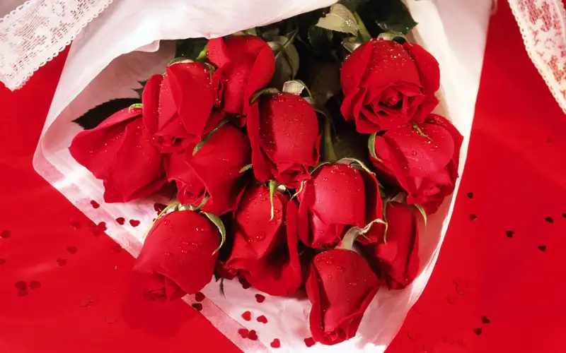 Gửi ảnh hoa hồng ý nghĩa để thể hiện tình cảm với người yêu Gửi ảnh hoa hồng ý nghĩa để thể hiện tình cảm với người yêu