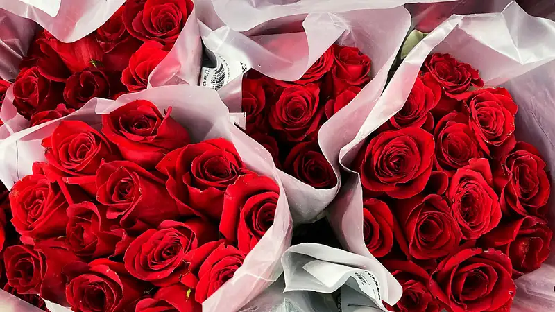 Ảnh hoa hồng ý nghĩa, là sự lựa chọn hoàn hảo cho người yêu Ảnh hoa hồng ý nghĩa, là sự lựa chọn hoàn hảo cho người yêu