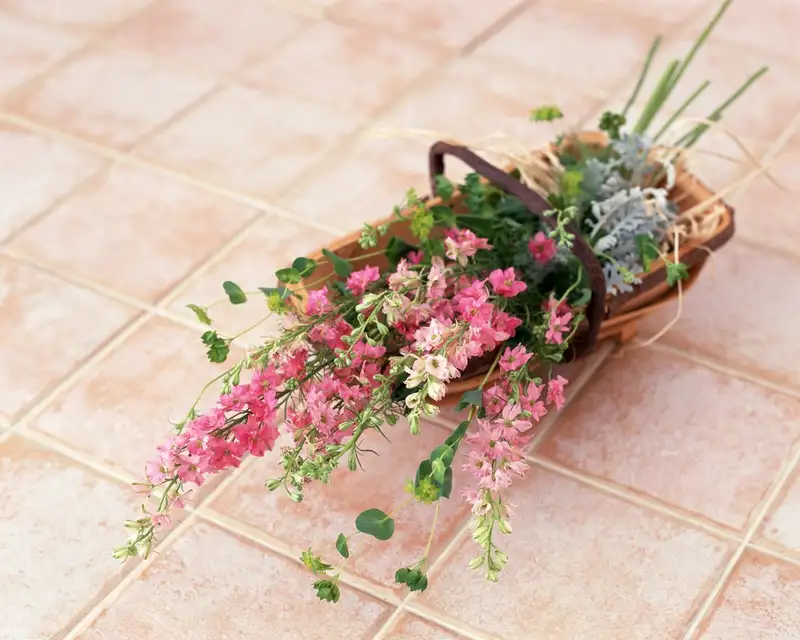 Chọn ảnh hoa tặng 20/10 để gửi lời chúc chân thành Chọn ảnh hoa tặng 20/10 để gửi lời chúc chân thành