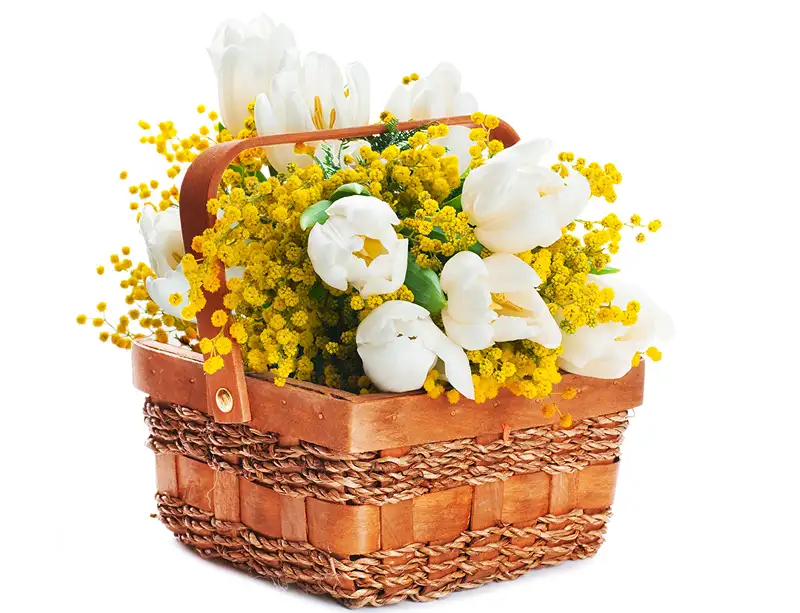 Ảnh hoa tặng 20/10 tinh khôi, gửi đến những người phụ nữ tuyệt vời Ảnh hoa tặng 20/10 tinh khôi, gửi đến những người phụ nữ tuyệt vời