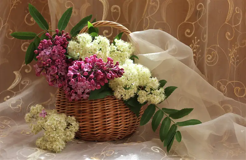 Tấm ảnh hoa tặng 20/10 hoàn hảo cho lời chúc dịu dàng Tấm ảnh hoa tặng 20/10 hoàn hảo cho lời chúc dịu dàng
