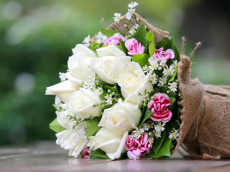 Hình tặng 20/10 ý nghĩa để chia sẻ yêu thương và hạnh phúc Hình tặng 20/10 ý nghĩa để chia sẻ yêu thương và hạnh phúc