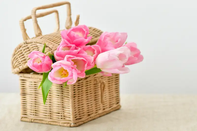 Ảnh hoa tặng 20/10 – lời chúc dịu dàng cho phái đẹp Ảnh hoa tặng 20/10 – lời chúc dịu dàng cho phái đẹp
