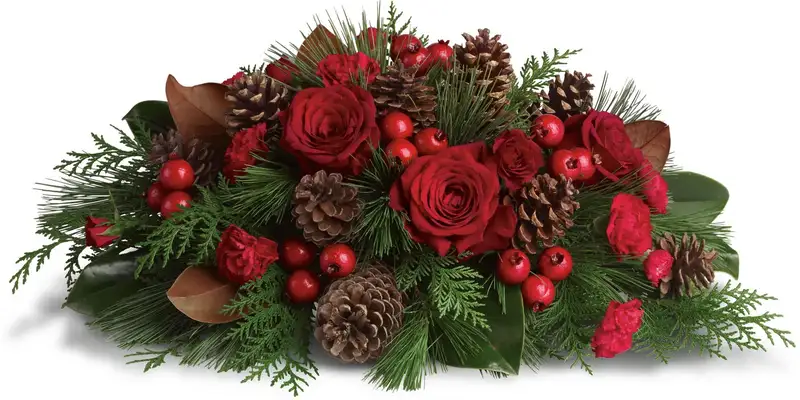 Ảnh hoa tặng Giáng Sinh rực rỡ mang không khí lễ hội Ảnh hoa tặng Giáng Sinh rực rỡ mang không khí lễ hội